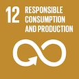 Responsible consumption and production